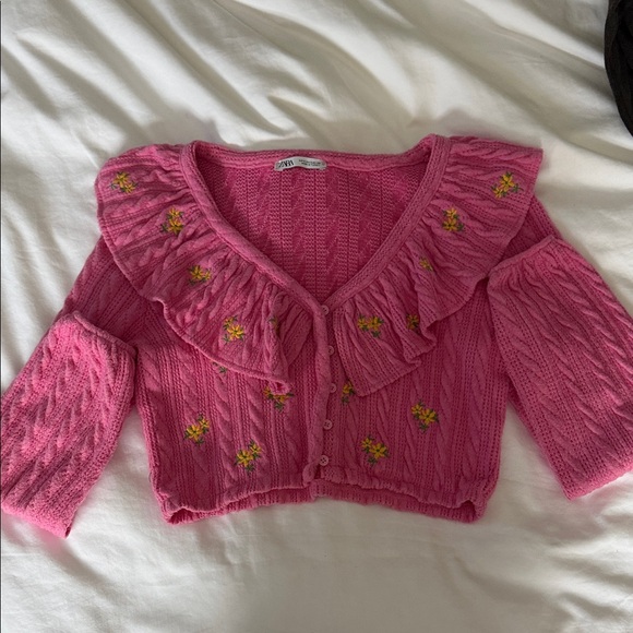 Zara Sweaters - Zara Pink Sweater with Floral Embroidery